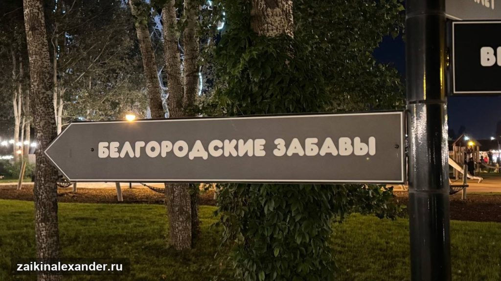 Вместо Петербурга — поездка в другом направлении — кадр 6