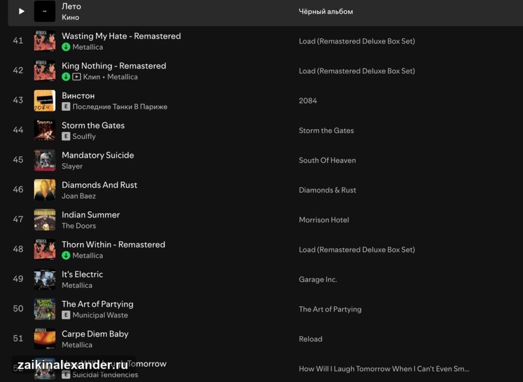 Spotify Wrapped 2025 — что я слушал чаще всего — кадр 4