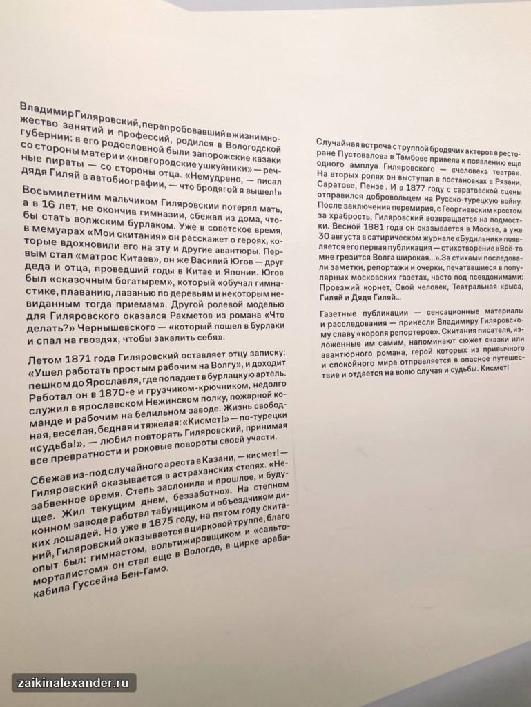 Выставка Владимира Гиляровского в Музее русского импрессионизма — кадр 6