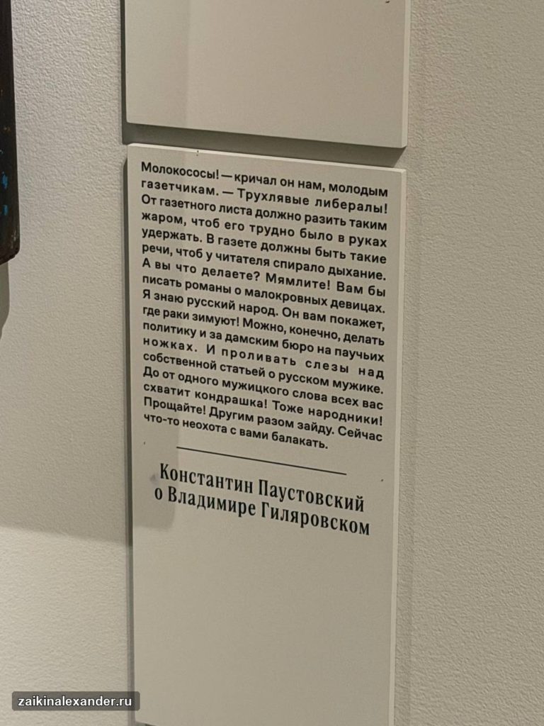Выставка Владимира Гиляровского в Музее русского импрессионизма — кадр 27