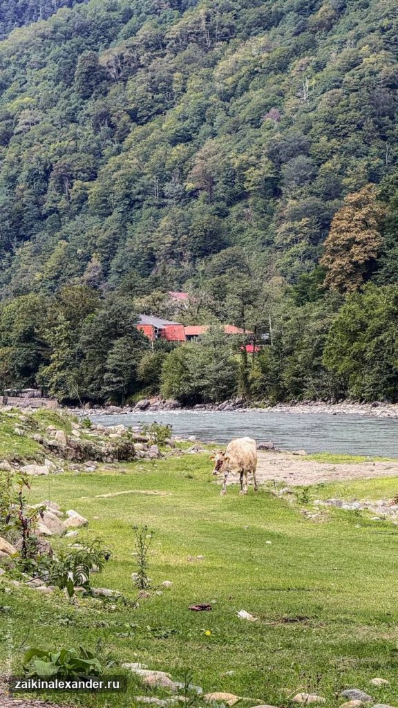Мост царицы Тамары и водопад Махунцети в Грузии — кадр 14
