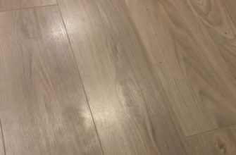 Кошка приносит игрушки, а дома появилась дорожка для ходьбы — видео 1