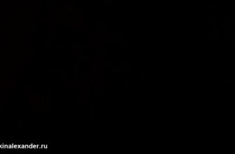 Ночь в плацкарте и храп попутчика — видео 1
