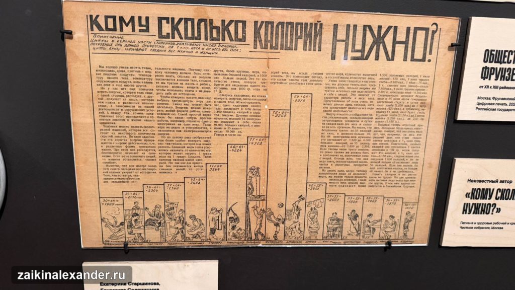 Выставка в центре «Зотов» — фотографии и впечатления — кадр 8